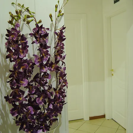 Adelaide House 4* פירנצה