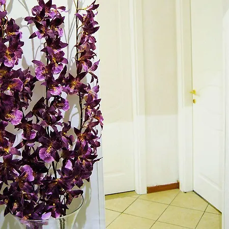 Гостевой дом Adelaide House 2*