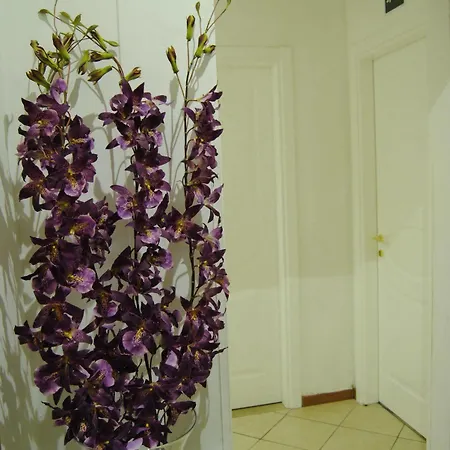 Adelaide House Гостевой дом 2*