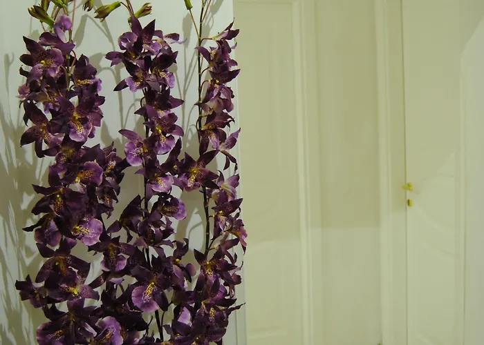 Adelaide House 3* Floransa